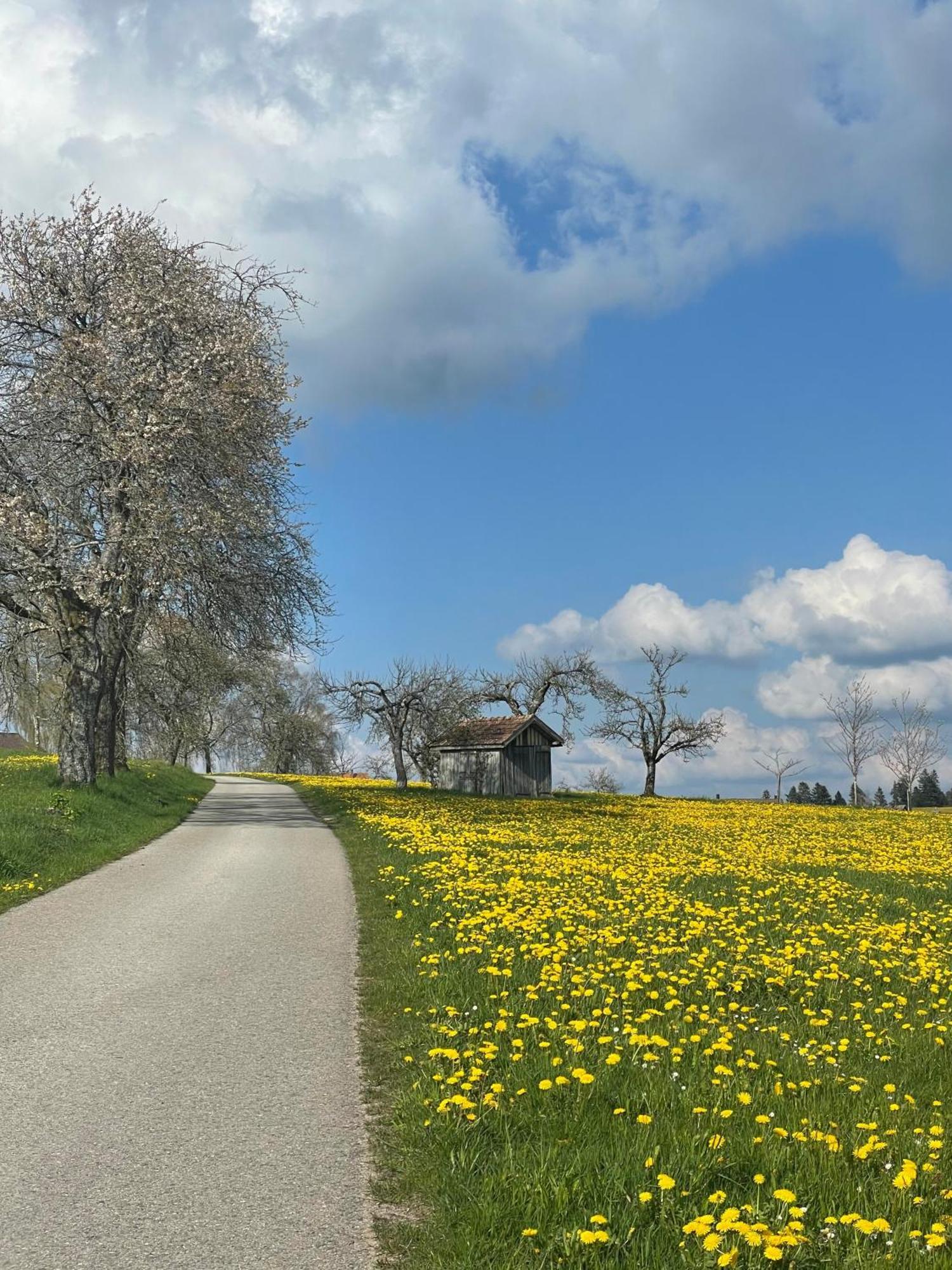 Hotel Krone Igelsberg Freudenstadt Eksteriør bilde